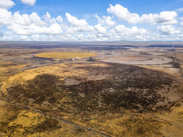 Farm for sale in New Mexico