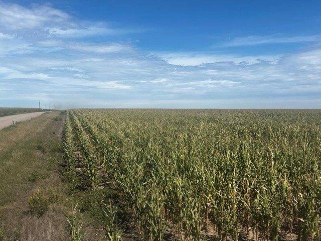 Land for sale in Kansas