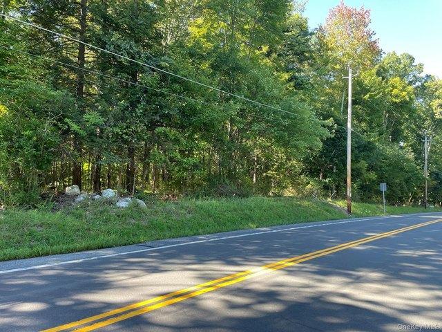 Land for sale in Thompson Ridge, New York