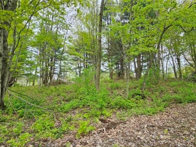 Land for sale in Altmar, New York