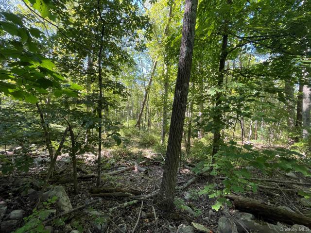 Land for sale in Thompson Ridge, New York