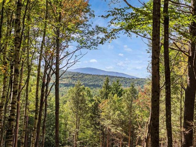 Land for sale in Greenfield, Hillsborough County