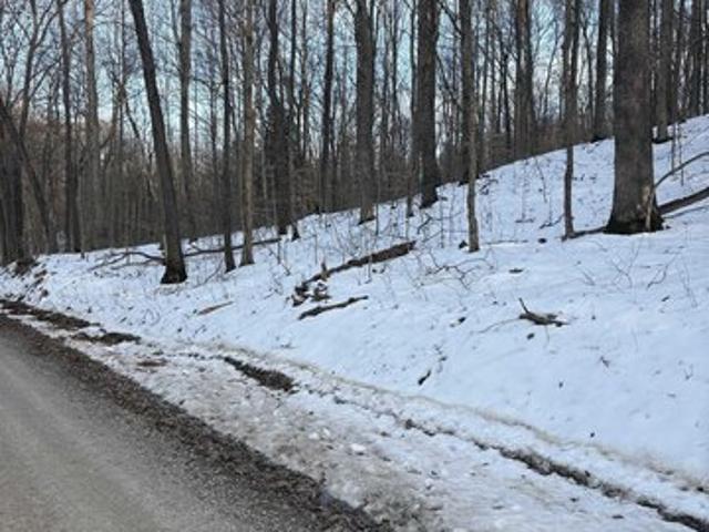 Land for sale in Spencer, Indiana