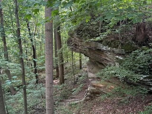 Farm for sale in Sharon Grove, Kentucky