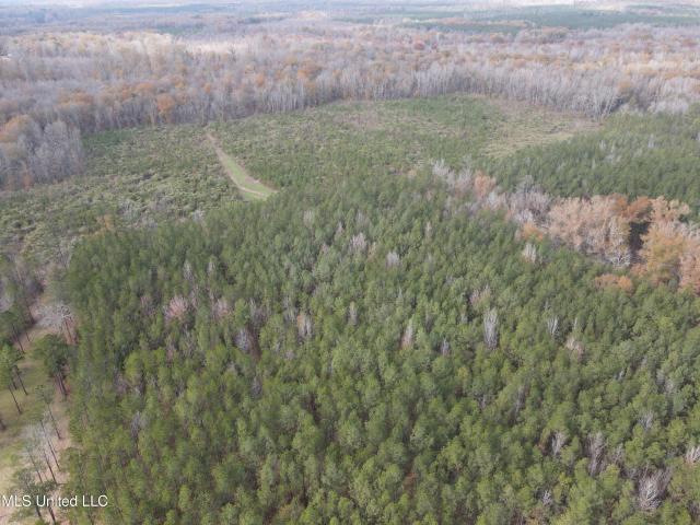 Land for sale in Ratliff, Lena