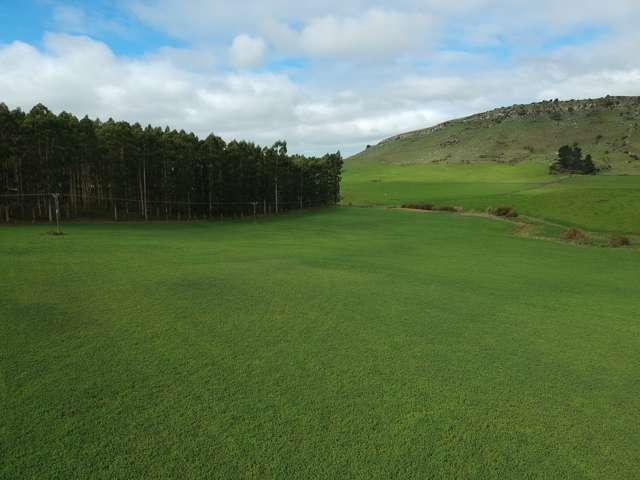 Property for sale in Otakou