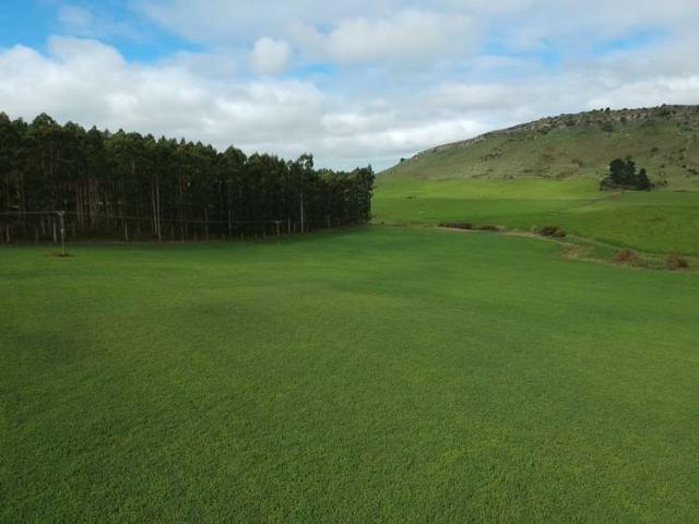 Property for sale in Otakou