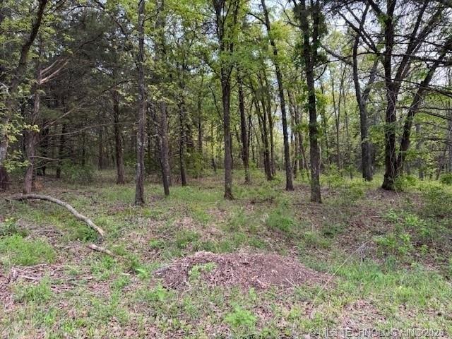 Land for sale in Burneyville, Oklahoma
