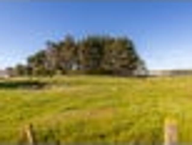 Land for sale in Tangimoana