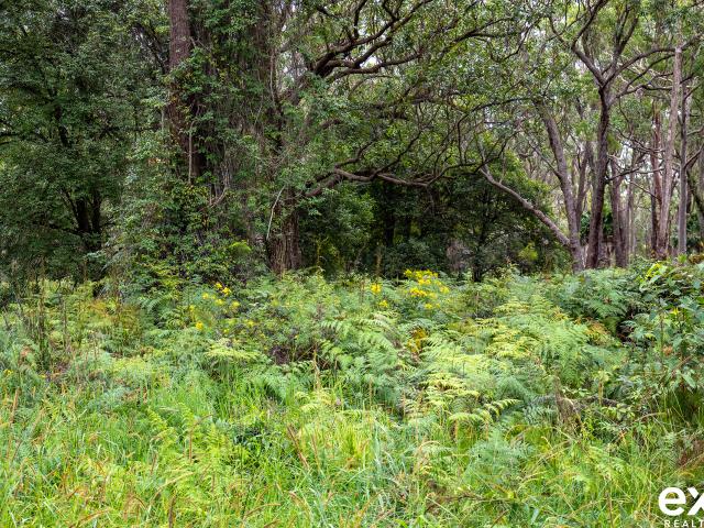 Property for sale in Pindimar, New South Wales