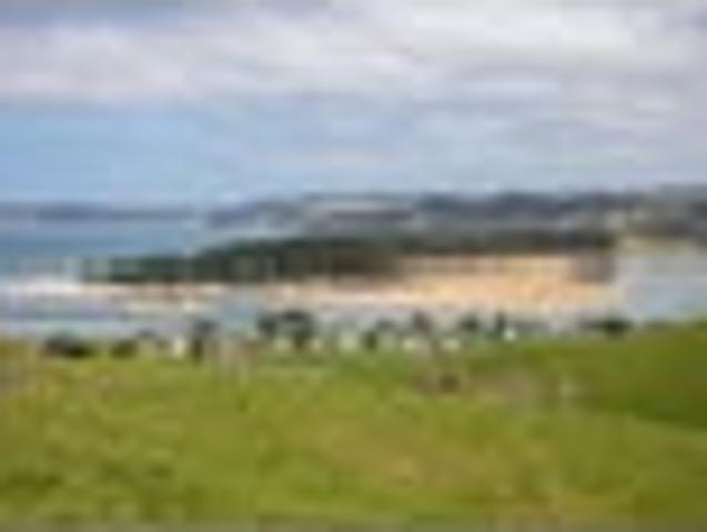 Land for sale in Whananaki, Northland