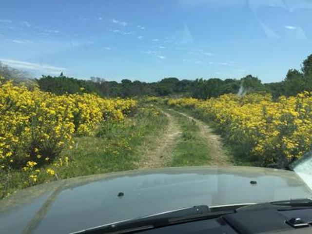 Land for sale in Cape St Francis, Eastern Cape