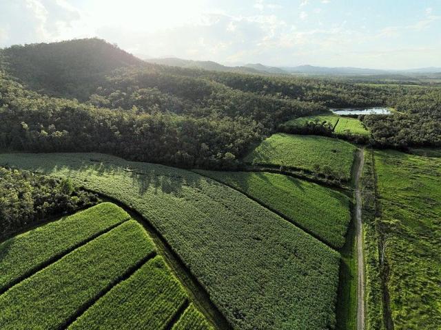Acreage for sale in Yalboroo, Queensland