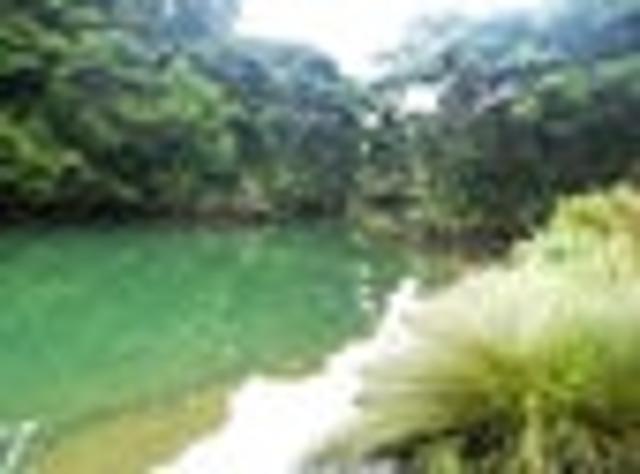 Land for sale in Karetu, Northland