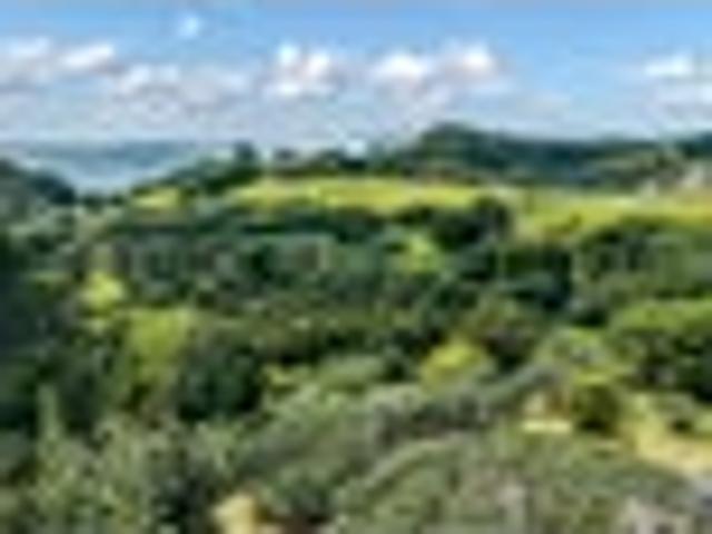 Land for sale in Tutukaka, Northland