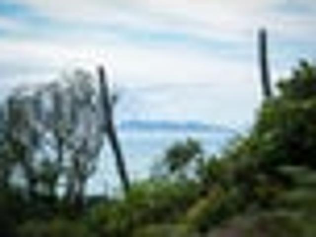 Land for sale in Waikato