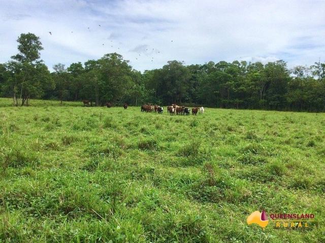 Cottage for sale in Innisfail, Queensland