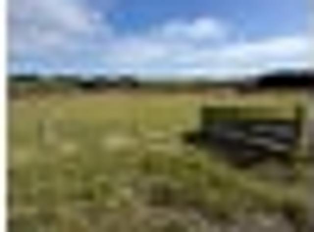 Land for sale in Invercargill, Southland