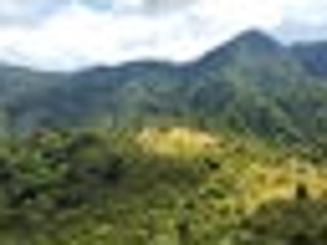 Land for sale in Ohaeawai, Northland