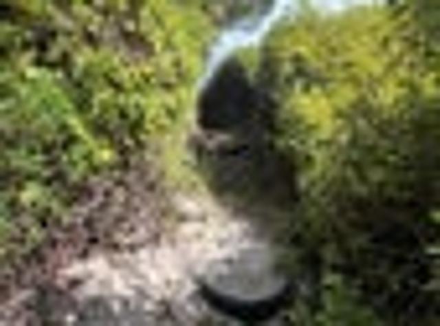 House for sale in Otakou