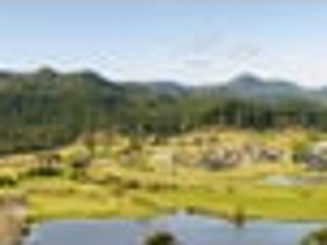 Land for sale in Waikato