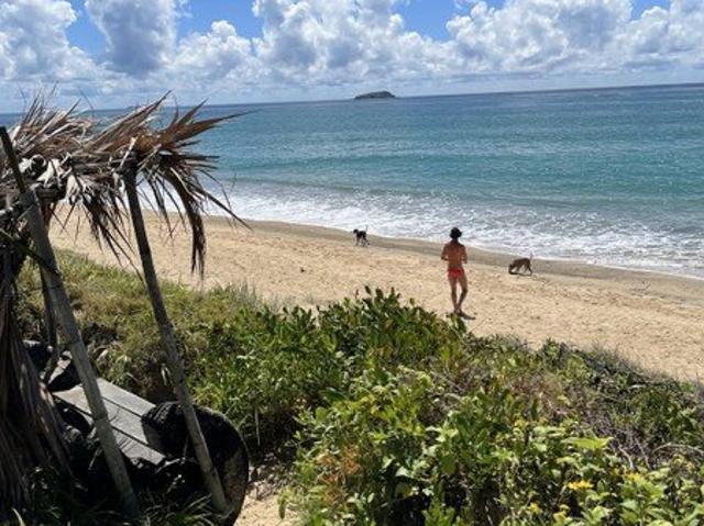 House for sale in Telegraph Point, New South Wales