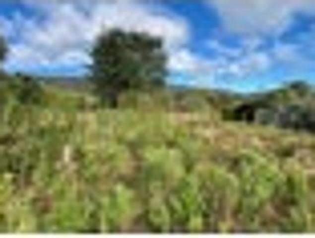 Land for sale in Granity, West Coast