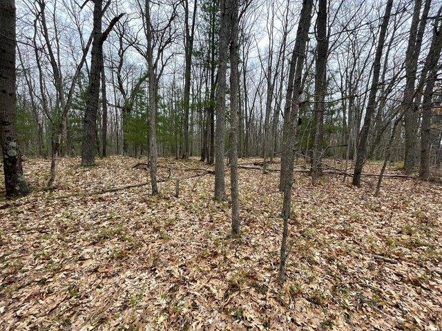 Land for sale in Brethren, Michigan