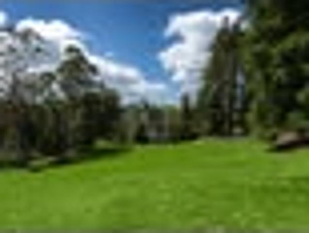 Land for sale in Kawau Island