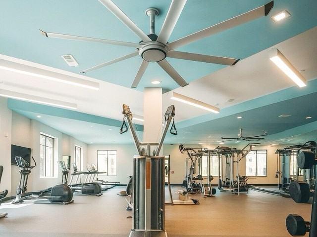 Apartment for rent in Lutz, Florida