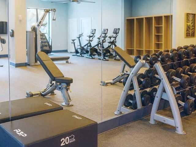 Apartment for rent in Lutz, Florida