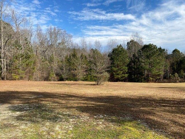 Land for sale in Appling Land for sale in Appling