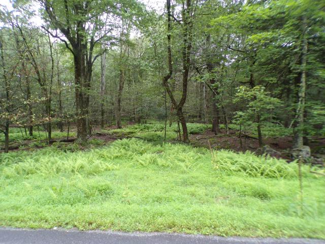 Property for sale in Newfoundland, Pennsylvania