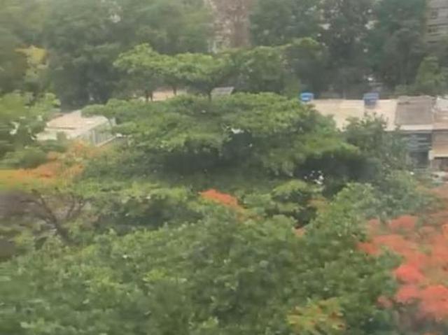 Apartamento venda em Região Geográfica Imediata do Distrito Federal, Região Integrada de Desenvolvimento do Distrito Federal e Entorno