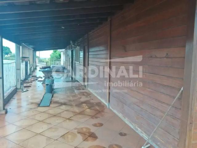 Cobertura aluguel em Região Imediata de Araraquara, Araraquara