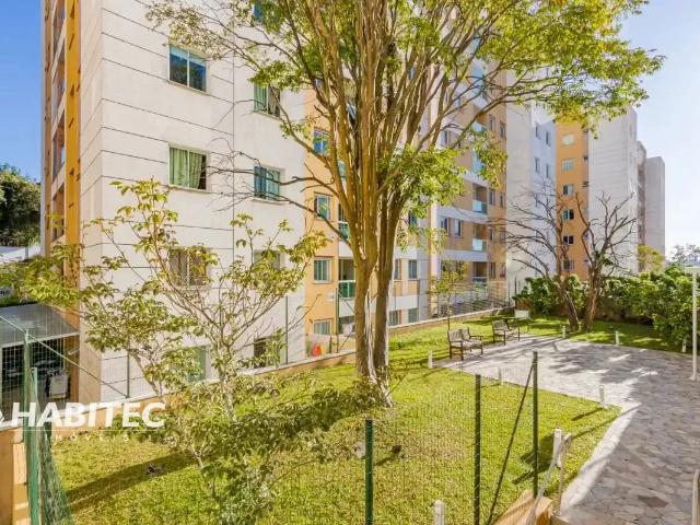 Cobertura aluguel em Região Geográfica Imediata de Curitiba, Região Metropolitana de Curitiba