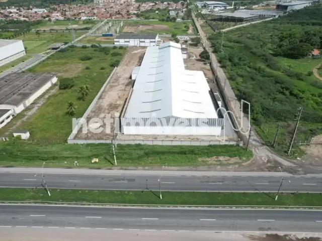 Cobertura aluguel em Região Geográfica Imediata de Feira de Santana, Região Metropolitana de Feira de Santana