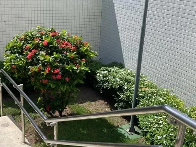 Cobertura aluguel em Região Geográfica Imediata do Recife, Região Metropolitana do Recife