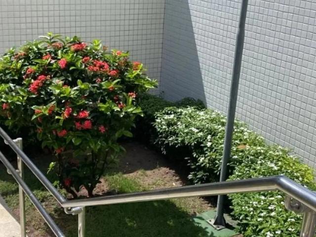 Cobertura aluguel em Recife