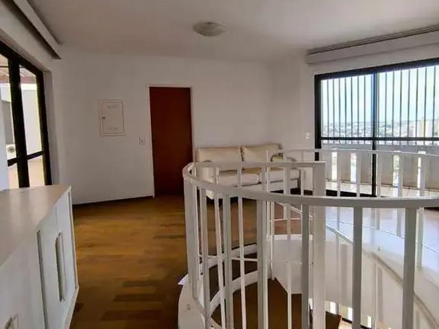 Cobertura aluguel em Região Imediata de São José do Rio Preto, Região Metropolitana de São José do Rio Preto