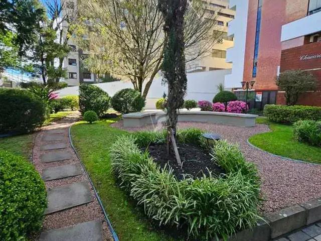 Cobertura venda em Região Geográfica Imediata de Caxias do Sul, Caxias do Sul