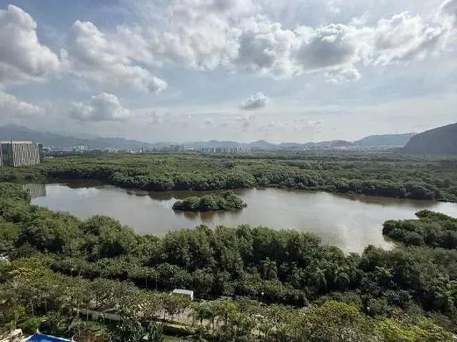 Cobertura venda em Região Geográfica Imediata do Rio de Janeiro, Região Metropolitana do Rio de Janeiro