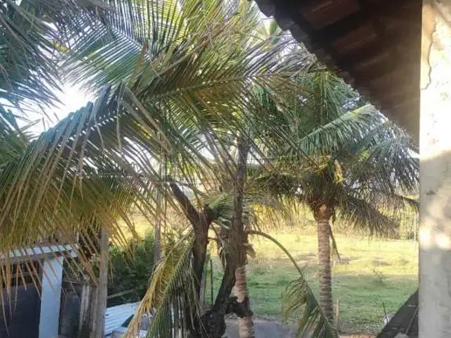 Cobertura venda em Região Imediata de São Carlos, São Carlos
