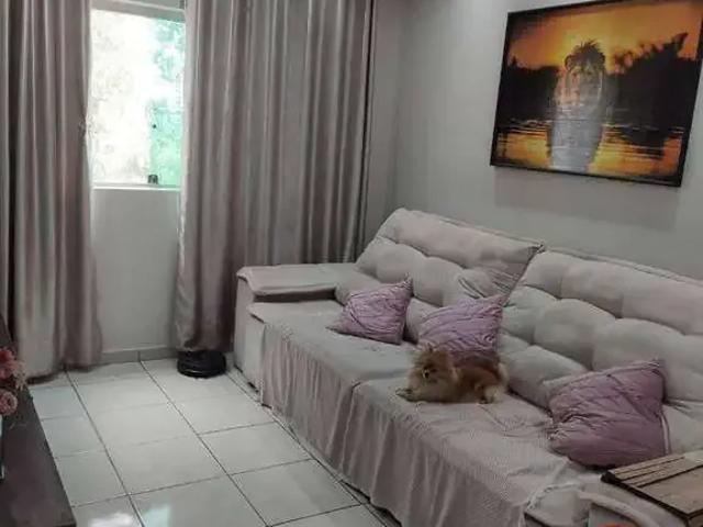 Cobertura venda em Região Imediata de Campinas, Região Metropolitana de Campinas