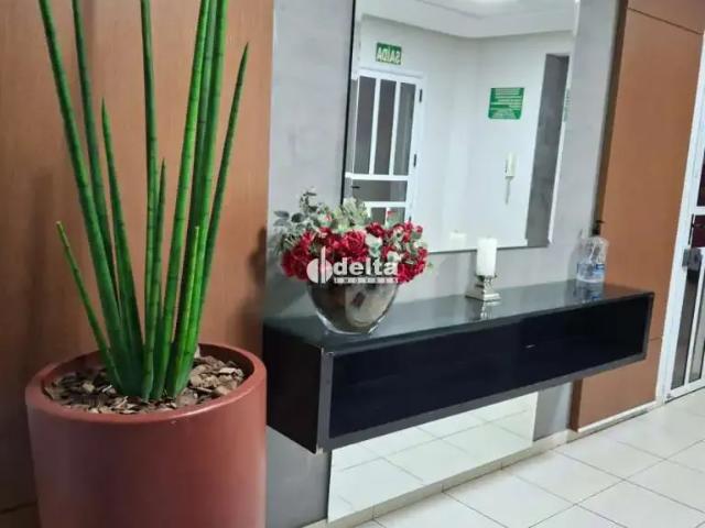 Cobertura venda em Região Geográfica Imediata de Uberlândia, Oliveira Fortes