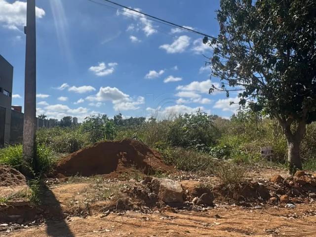 Cobertura venda em Região Geográfica Imediata de Vitória da Conquista, Teodoro Sampaio