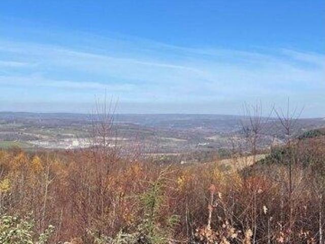 Land for sale in Middleburgh, New York
