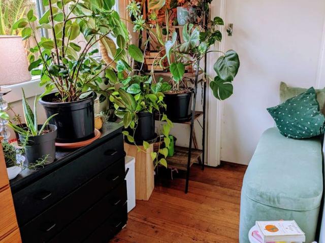 Room for rent in Camerons Creek, Victoria