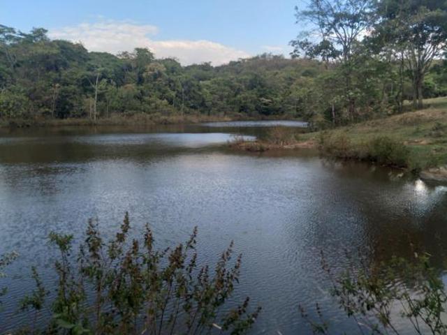 Sítio e chácara venda em Região Geográfica Imediata de Águas Lindas de Goiás, Região Integrada de Desenvolvimento do Distrito Federal e Entorno