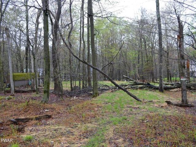 Land for sale in Newfoundland, Pennsylvania